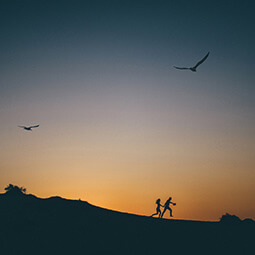night couple birds sky flying running adventure sunset photography travel UGC content